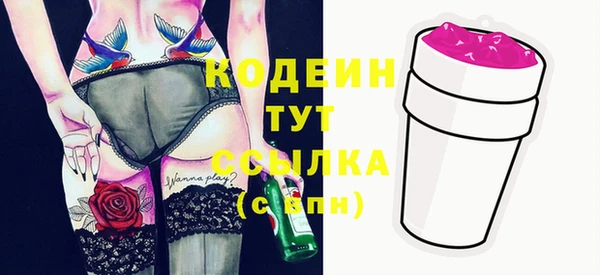 дурь Няндома