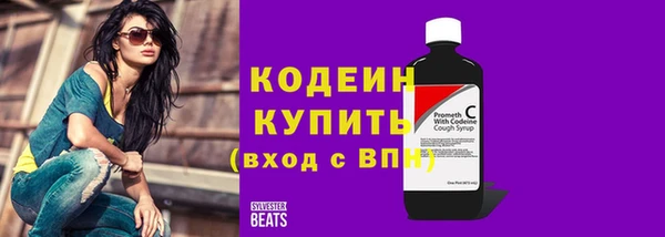 дурь Няндома