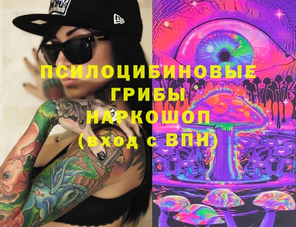 2c-b Новозыбков