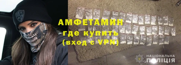 дурь Няндома